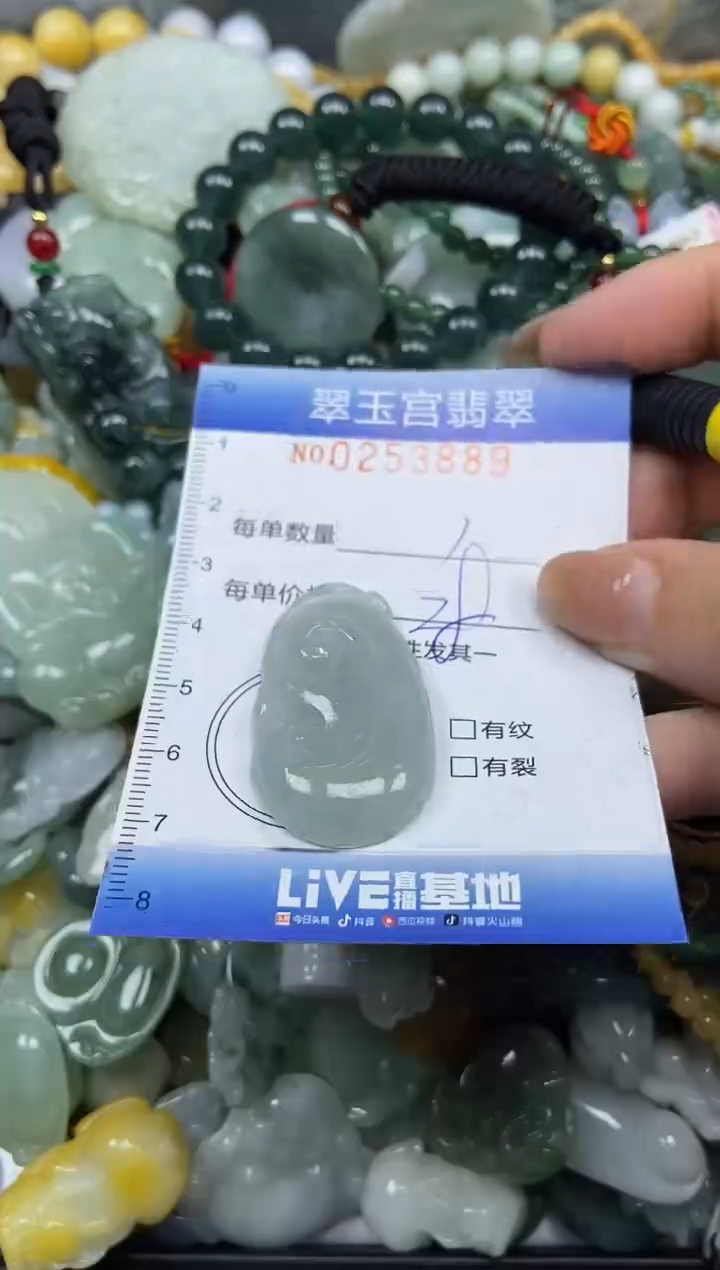 颈饰未镶嵌翡翠闪购C0253889