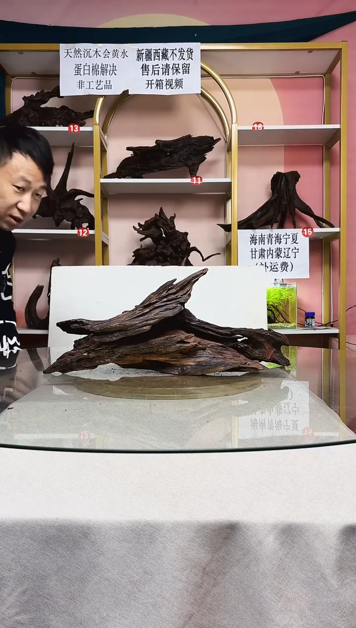 ឩ****࿐鱼缸沉木A827