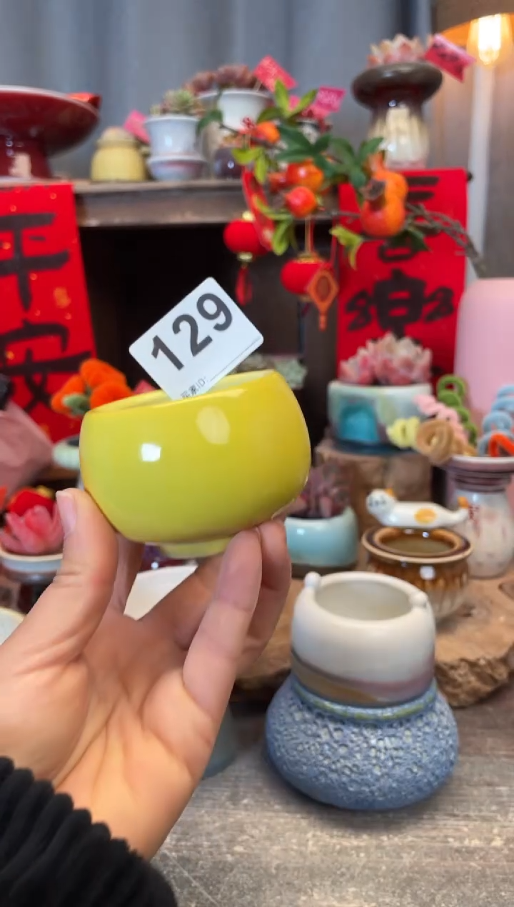 【闪购商品】摆件微瑕129知木小芳花盆