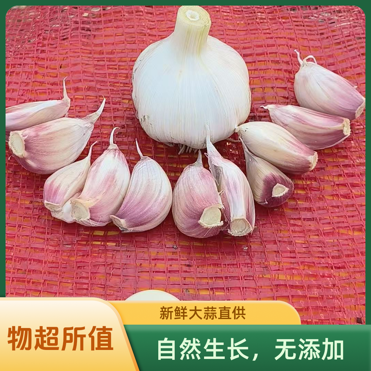 【云宝专属】正宗河南红皮新蒜5.5斤装花瓣蒜