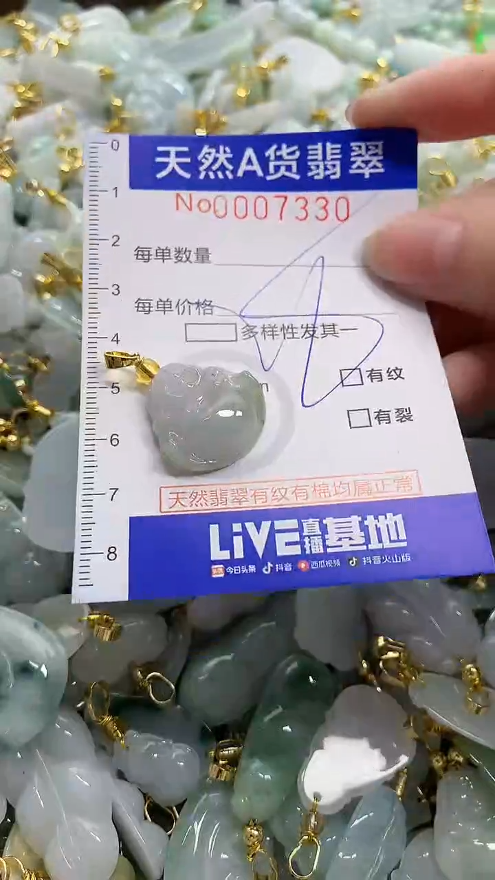 颈饰未镶嵌翡翠天然A货翡翠