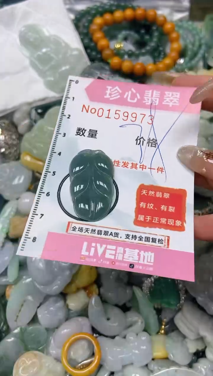 【闪购商品】翡翠颈饰未镶嵌闪购0159973