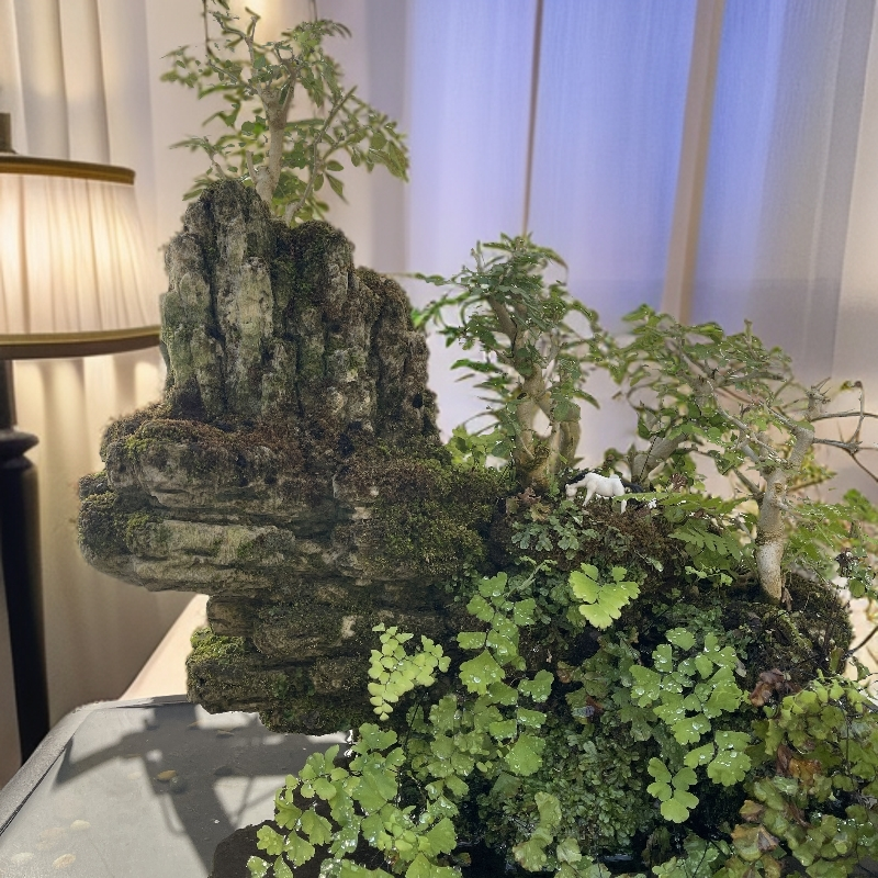 台湾吴定石 山水盆景