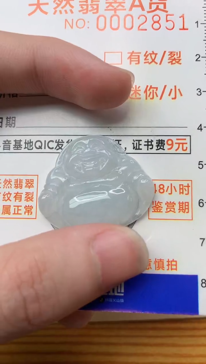 【闪购商品】翡翠颈饰未镶嵌2............