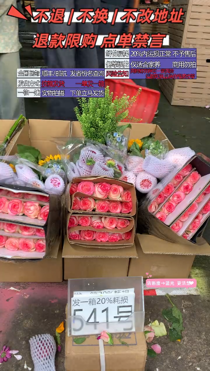 541号♥含20%耗损发一箱