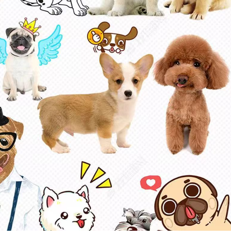 宠物相册专属订单