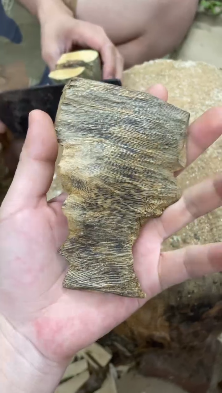 沉香沉香碎屑棋楠沉香 原料文创1