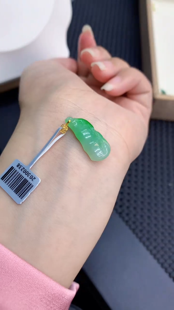 【闪购商品】翡翠颈饰18K金镶嵌            8