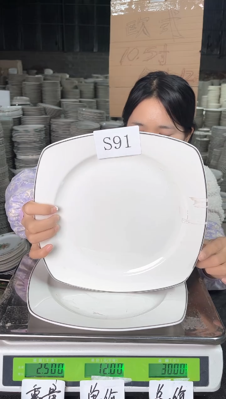 【闪购商品】瓷S91  10.5英寸 2个