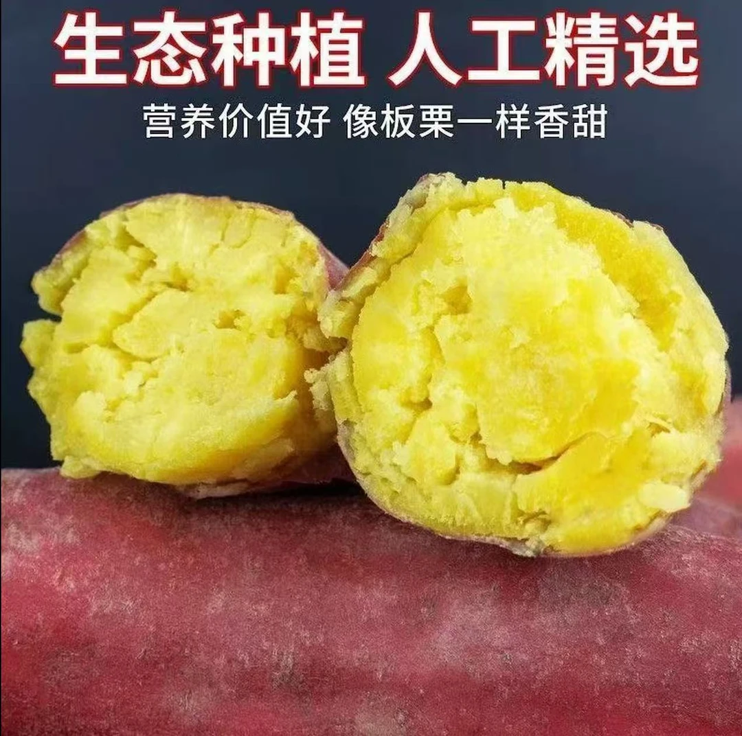 新鲜板栗薯黄心番薯粉糯香甜精品粗粮代餐小时候的味道
