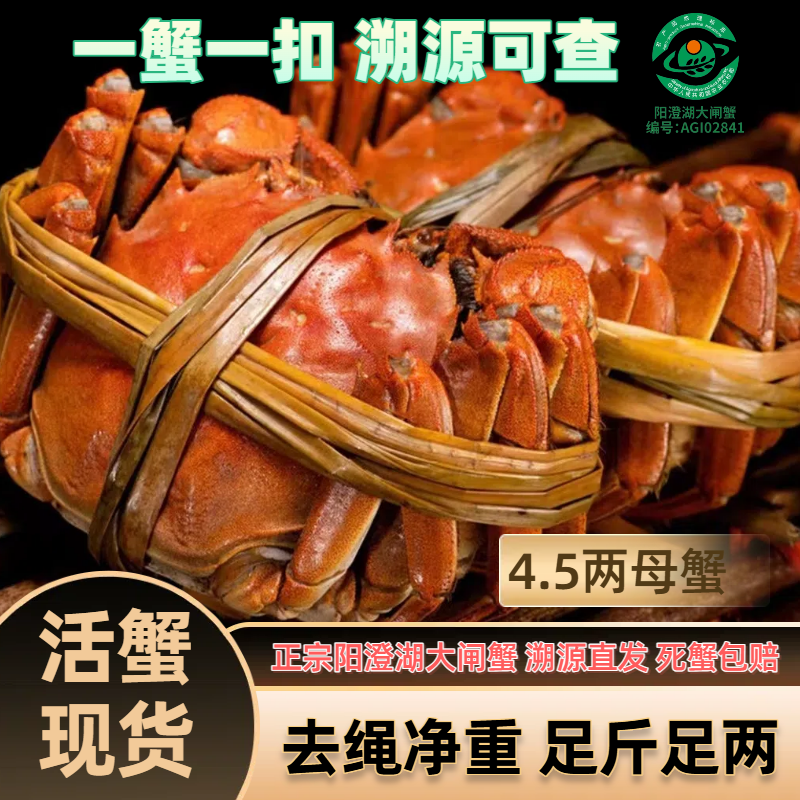 【阳澄湖大闸蟹】活蟹全母4.5两6/8只苏丰韵螃蟹礼盒装塘养鲜活顺丰