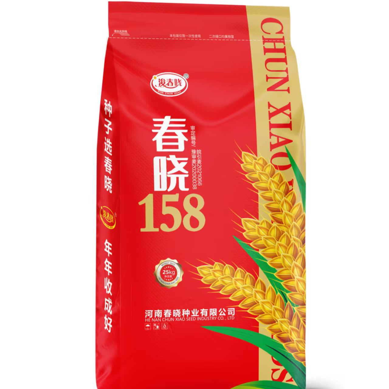 优质高产小麦品种春晓158矮杆大穗