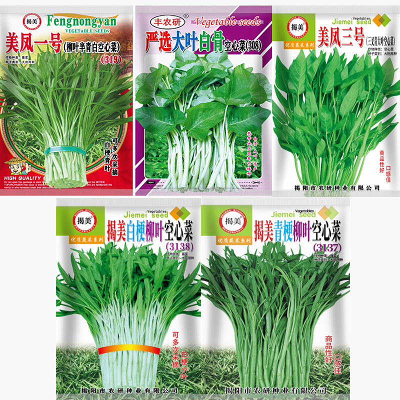 空心菜种子 青骨白骨尖叶通心菜 酥脆型雍菜籽 大叶空心菜籽