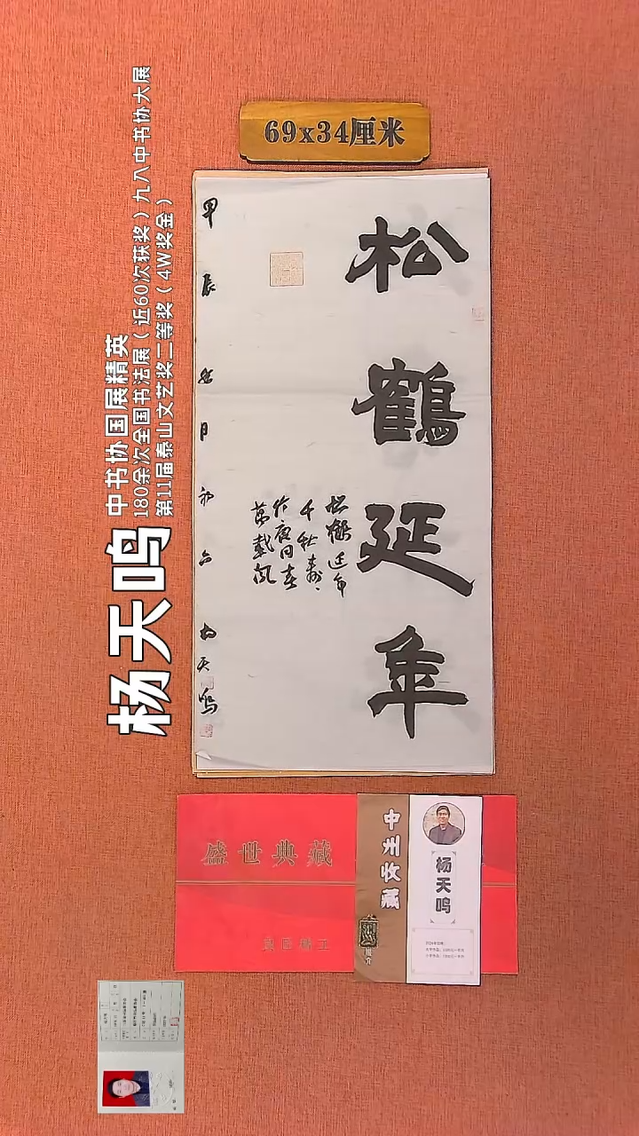 【闪购商品】书法36        杨天鸣书法作品