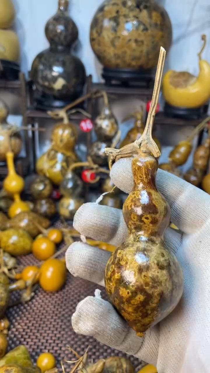 【闪购商品】葫芦葫芦葫芦葫芦