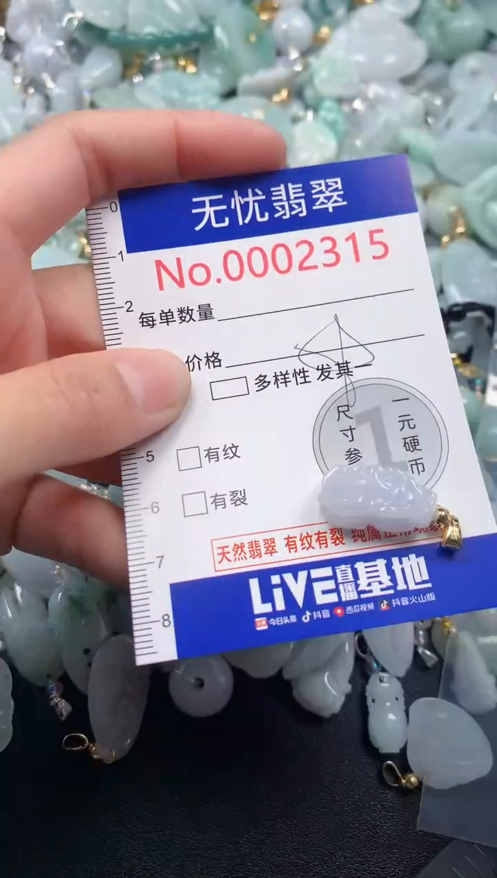 颈饰未镶嵌翡翠2315