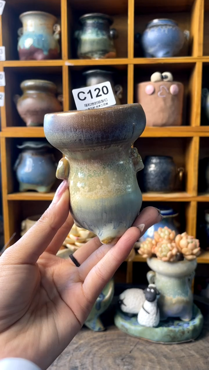 120内口5【多肉花盆多肉盆】