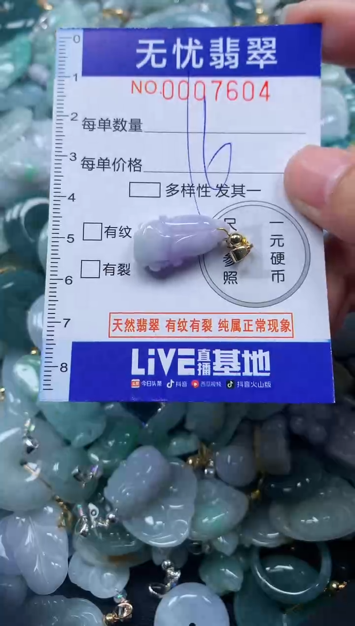 颈饰未镶嵌翡翠7604