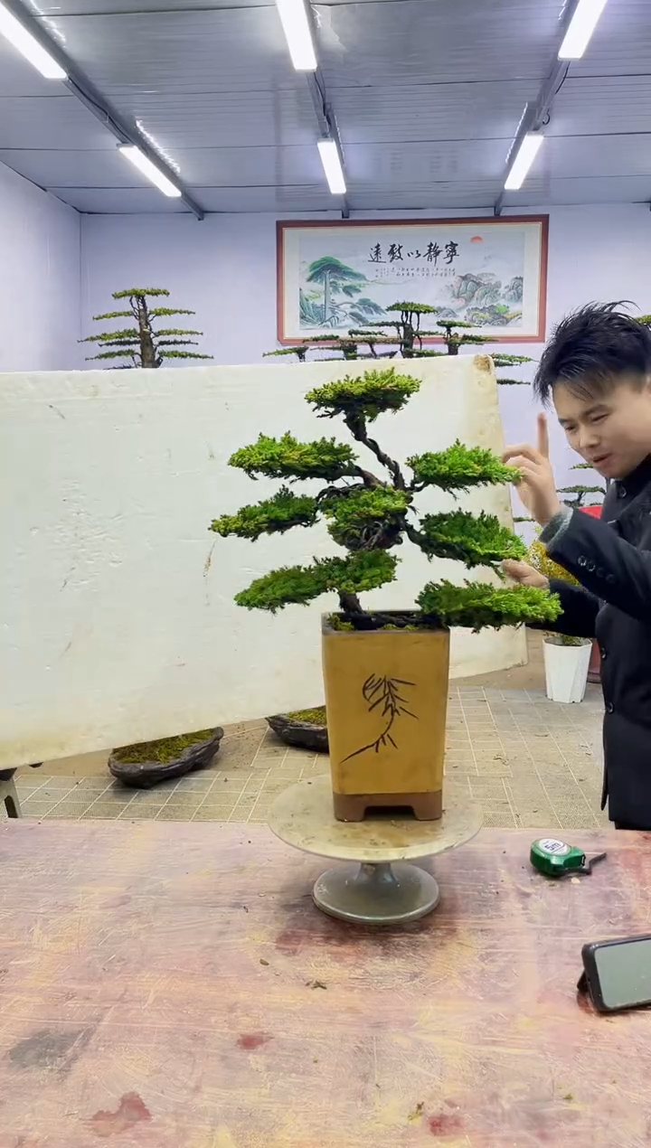 【闪购商品】一物一拍，所见即所得