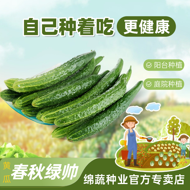 绵蔬【春秋绿帅】黄瓜种子小院阳台都可以种植播种黄瓜种子