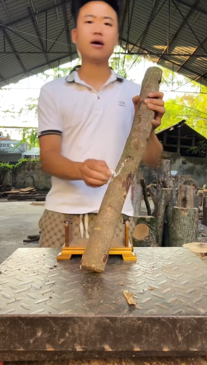 四川小叶桢楠金丝楠