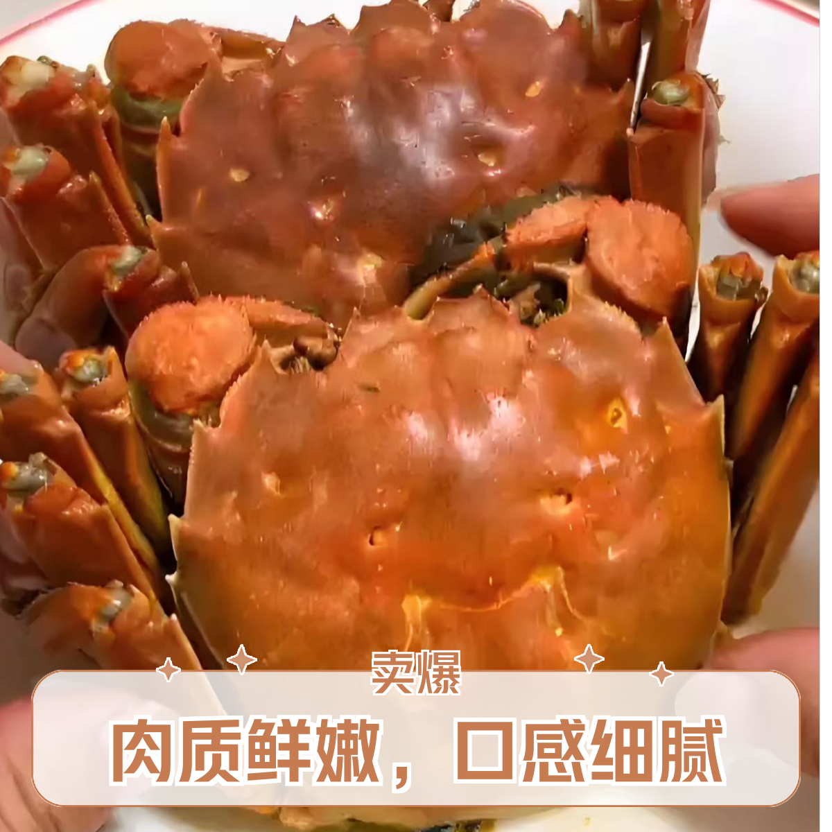 河蟹全母2斤，单只2.5两，鲜活发货