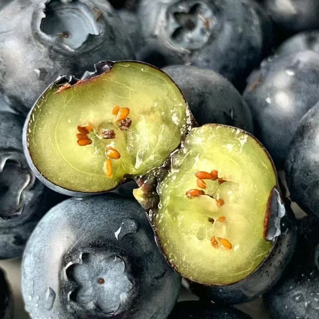 云南蓝莓18+mm一斤云南水果云南水果同城送