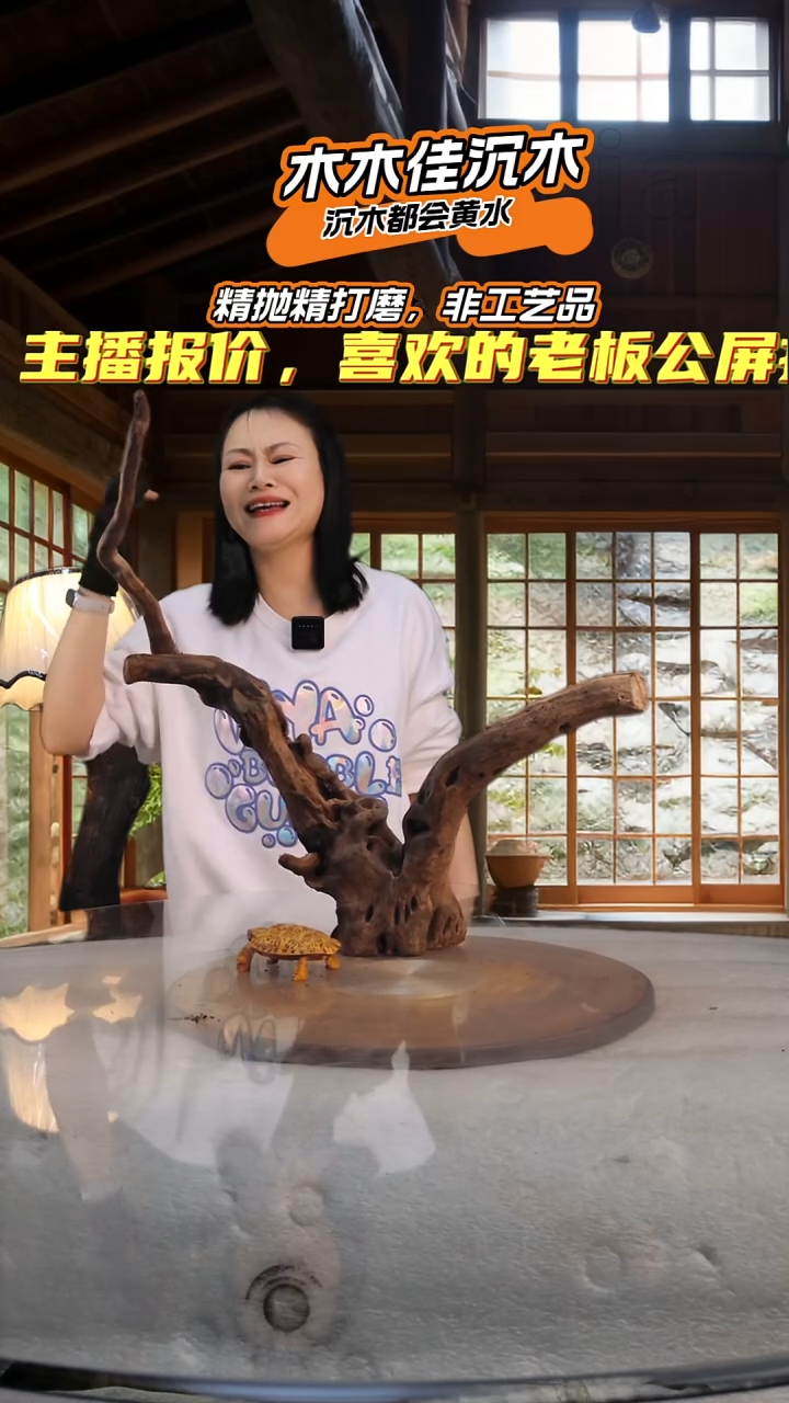 再****了木木佳沉木鱼缸造景