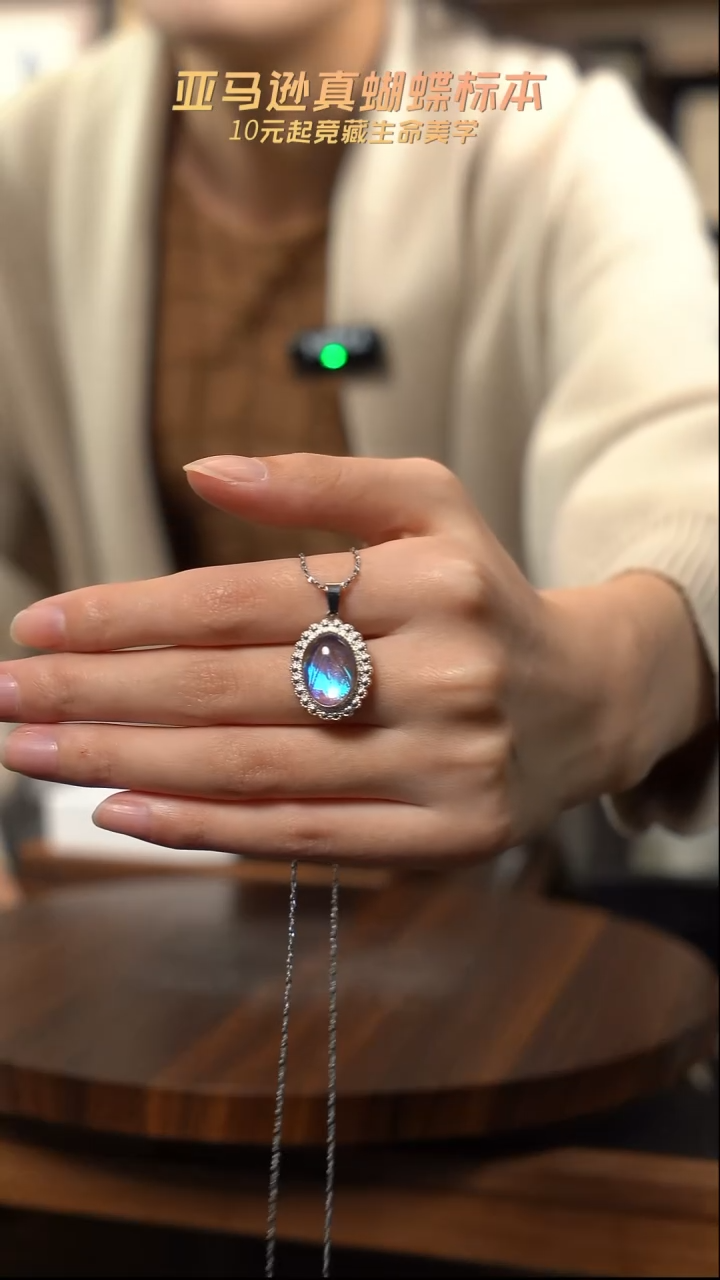 蝴蝶标本摆件k107