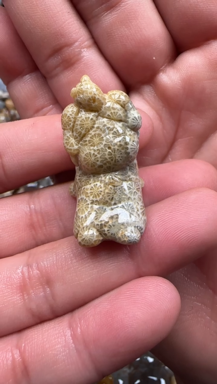 【闪购商品】硅化珊瑚（珊瑚玉）颈饰未镶嵌074