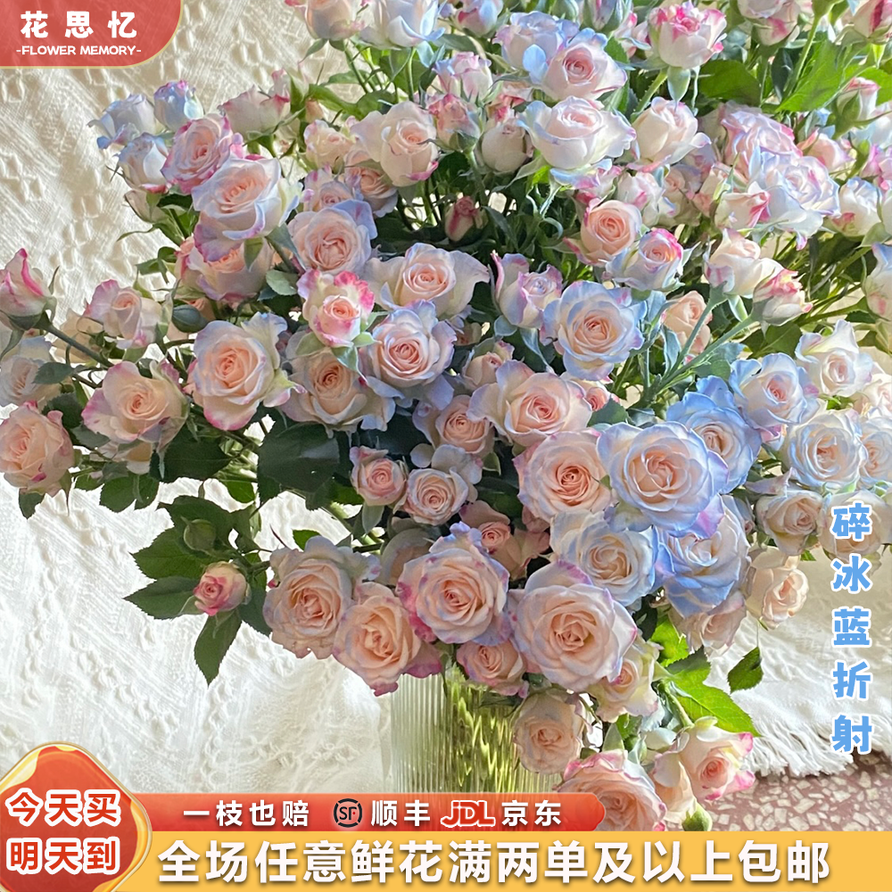 新品特价『碎冰蓝折射5枝』云南鲜切花 满两单鲜花顺丰京东送货上门 满三单鲜花送花瓶 鲜花直播次日达