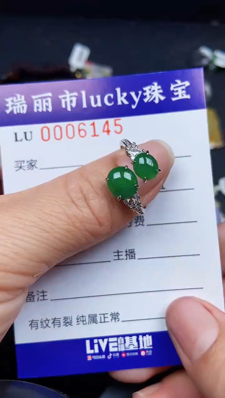 翡翠银S925镶嵌颈饰6145