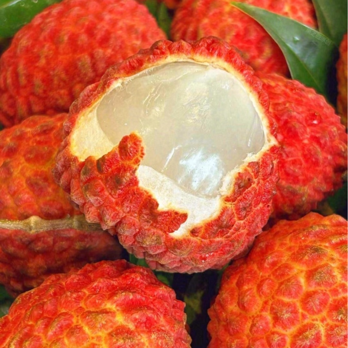 【双福翠宝宝】海南永兴火山岩荔枝王 一口甜  精品大果鲜荔枝空运