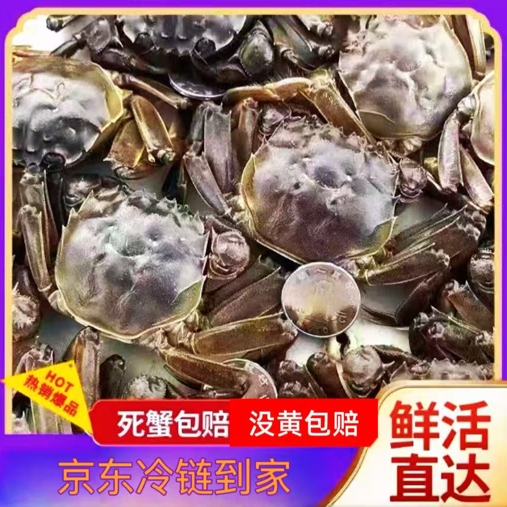 【活蟹】全母蟹1.5-1.6两/只 盘锦河蟹 10只 京东次日达
