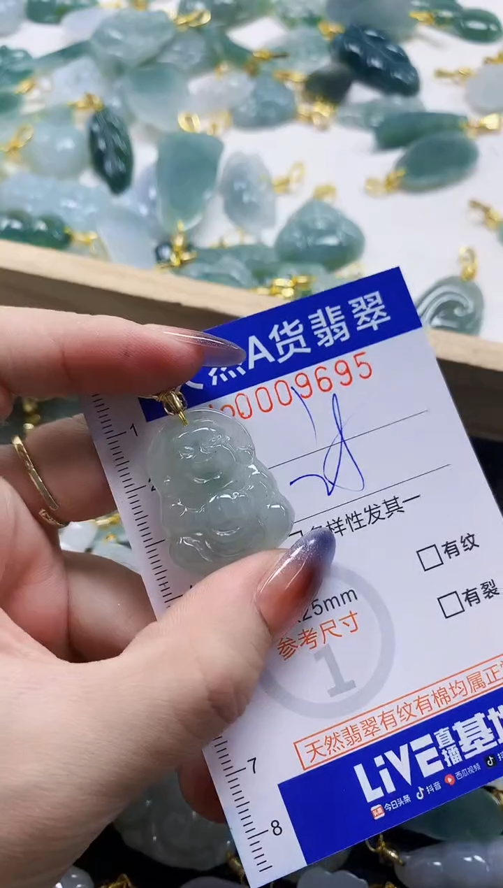 颈饰未镶嵌翡翠天然A货翡翠