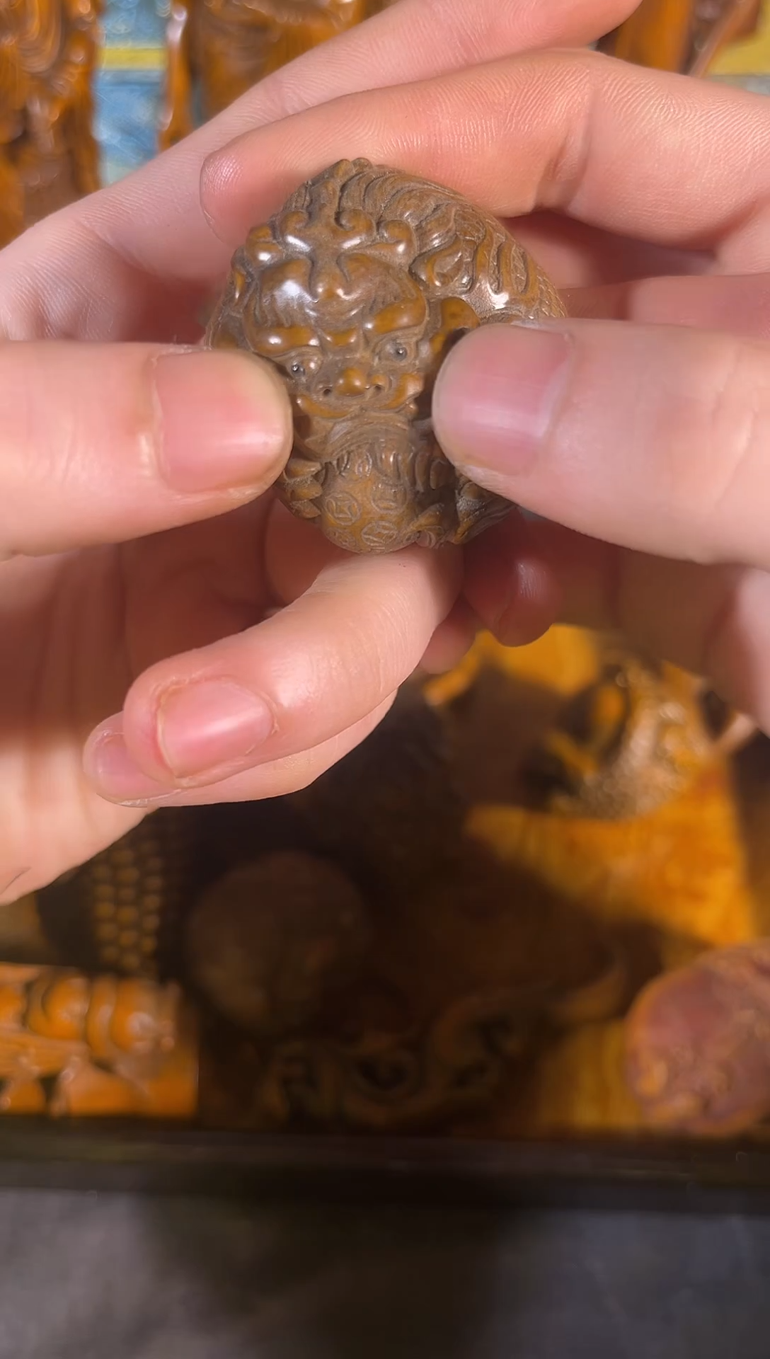 黄杨木111111111111