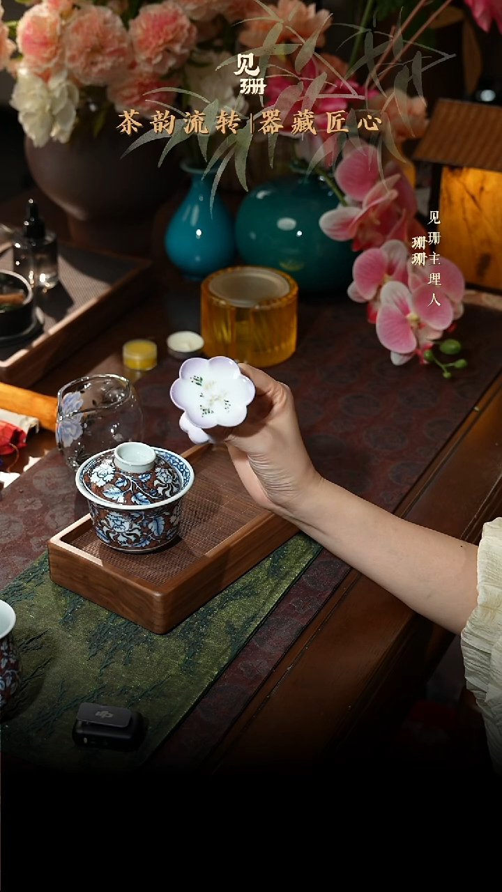 【见珊】专属拓土福利专属