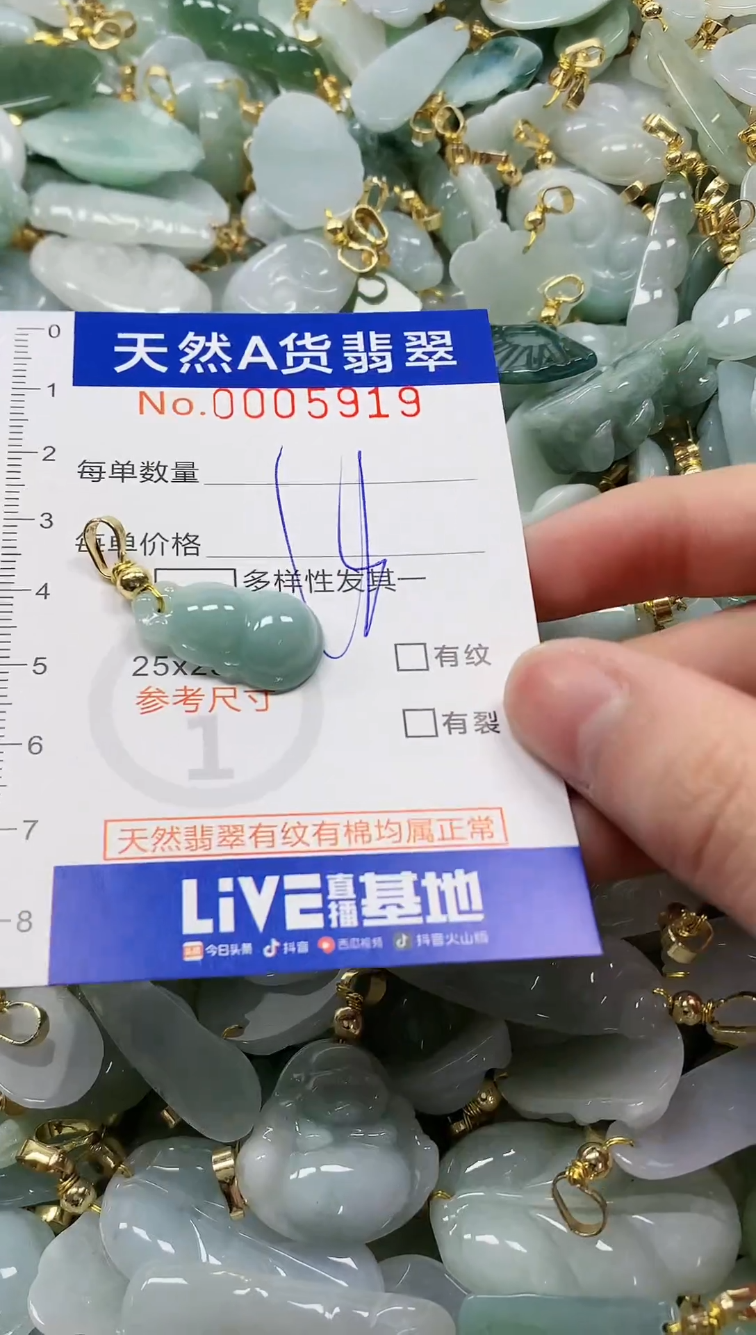 颈饰未镶嵌翡翠纯天然a货翡翠