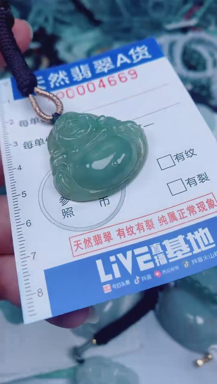 颈饰未镶嵌翡翠00004669