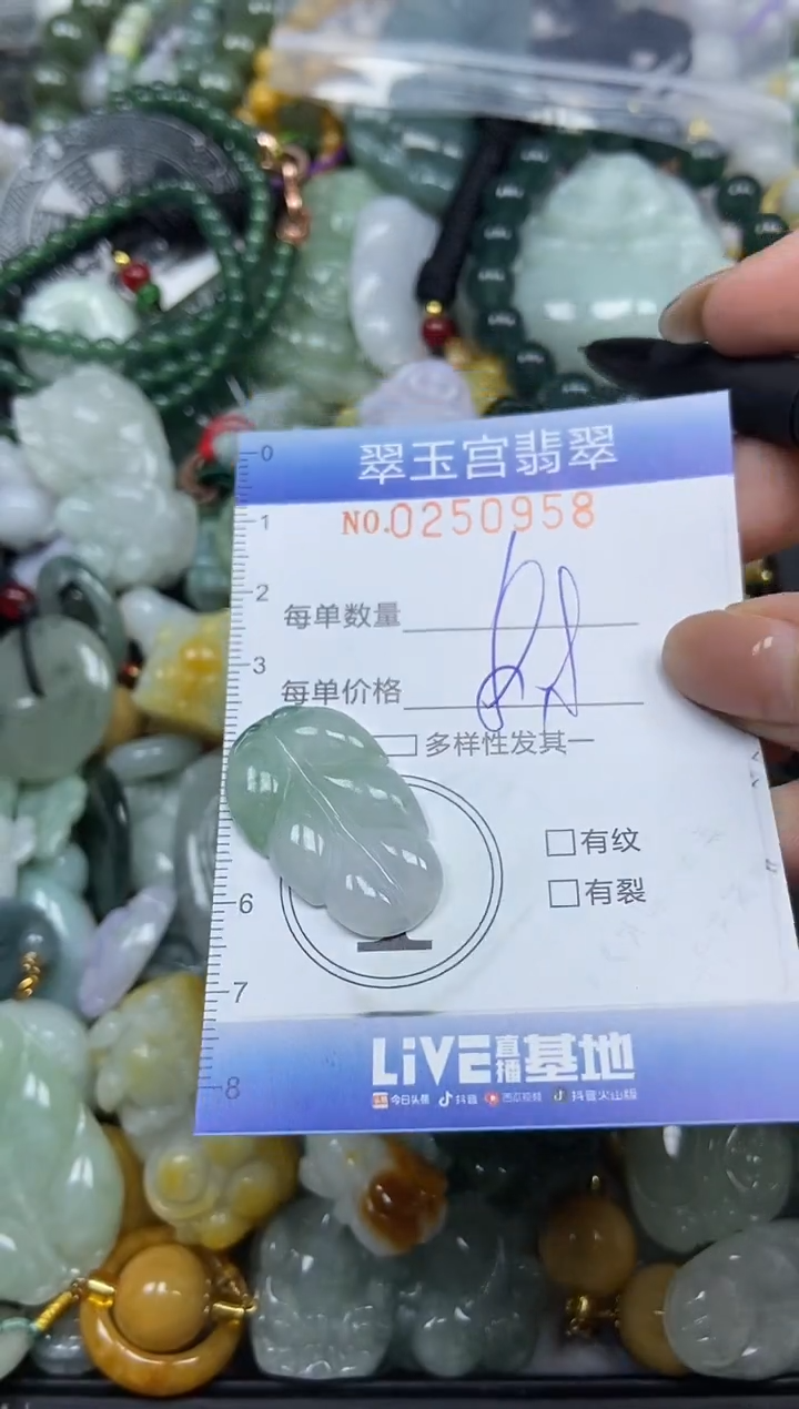 颈饰未镶嵌翡翠闪购C0250958