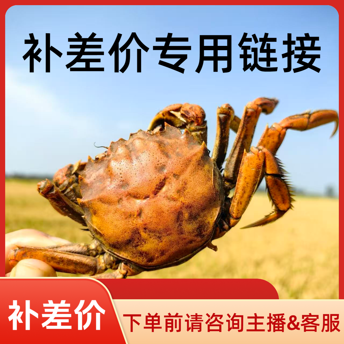 补差价 【活蟹】盘锦河蟹 1.0-1.3两  母蟹 1斤