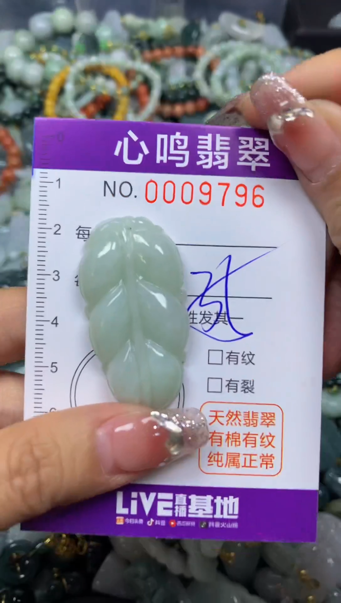 【闪购商品】翡翠颈饰未镶嵌闪购009796