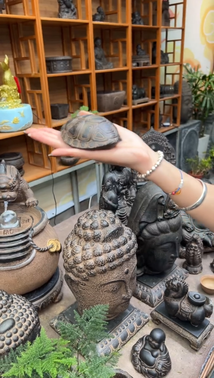 陶土【火山泥】富甲一方