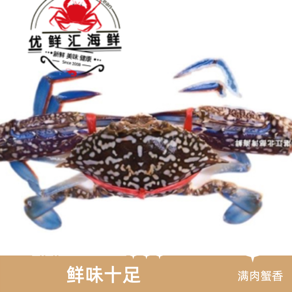 大个兰花蟹鲜活公蟹吃肉蟹1-5斤蟹同城配送海鲜