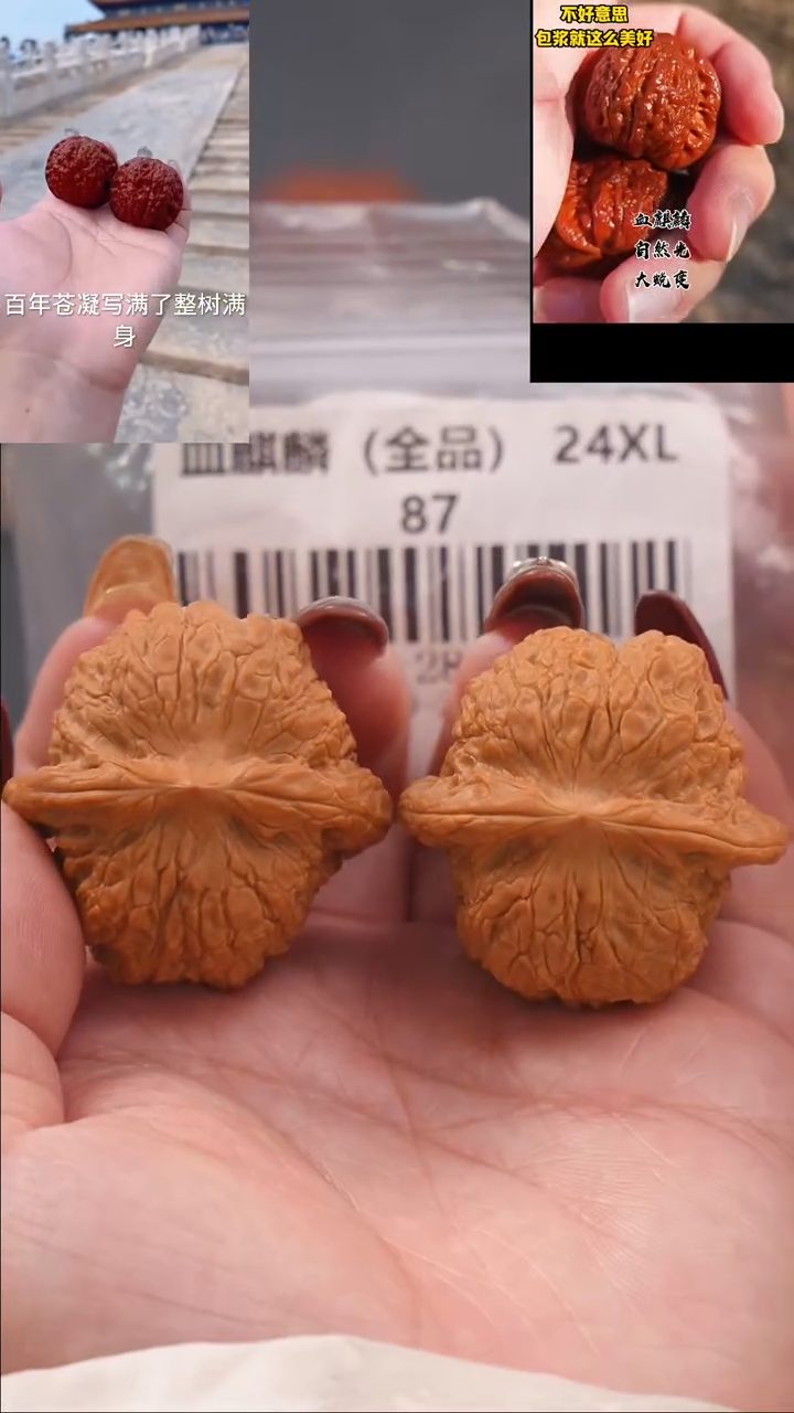 【闪购商品】文玩核桃把件39血麒麟狮子头（全品）