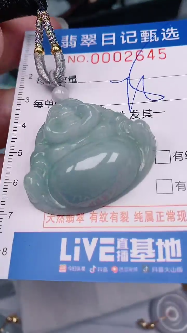 【闪购商品】翡翠颈饰未镶嵌00002645