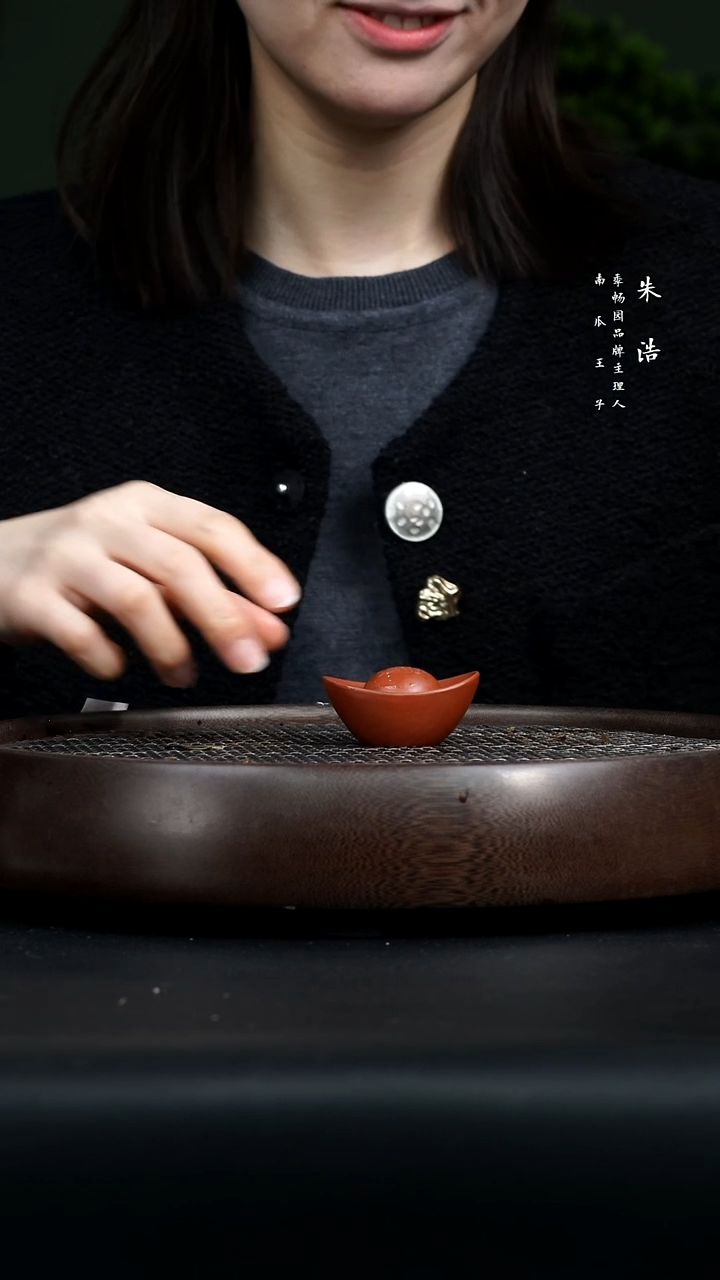 【闪购商品】紫砂茶壶0307早直播元宝茶宠