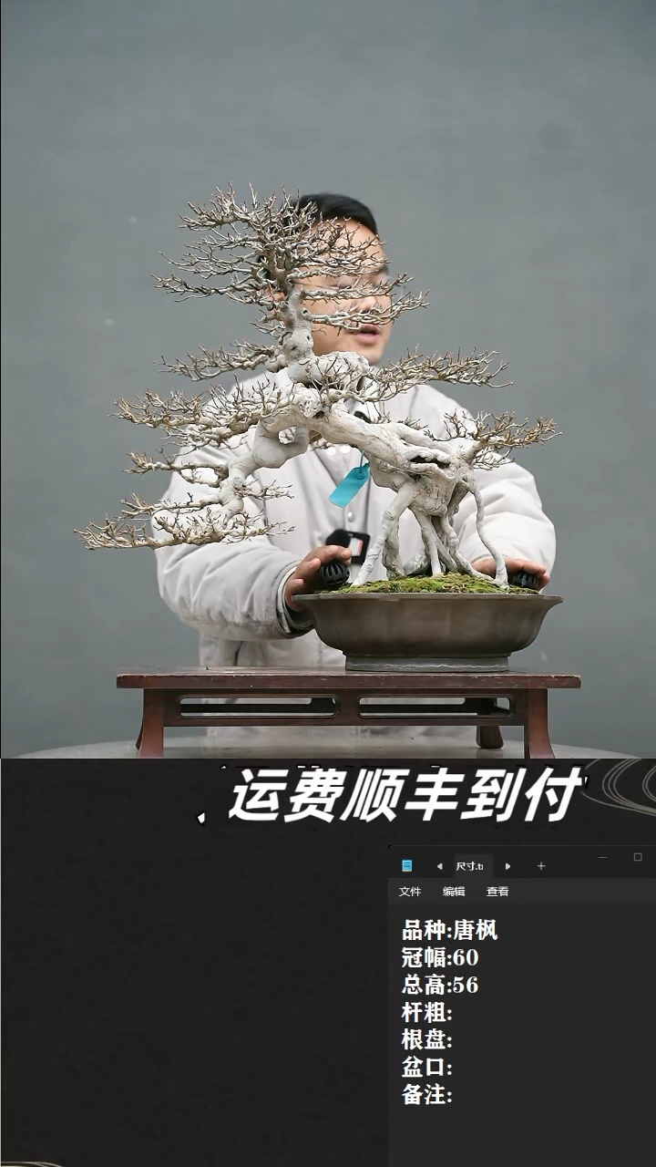 【闪购商品】41 唐枫