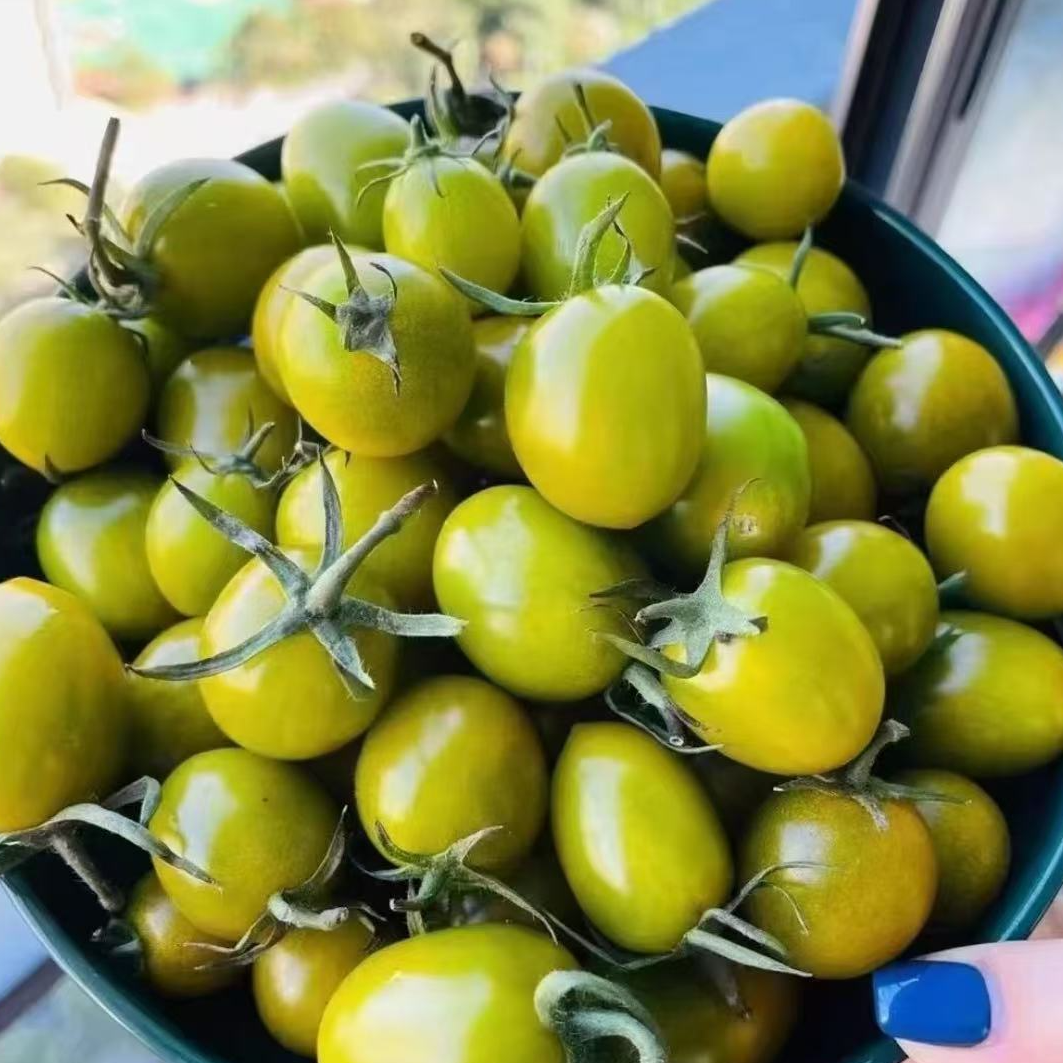 【顺丰】青霞小番茄 爆甜多汁 2/5斤左右（江浙沪皖）