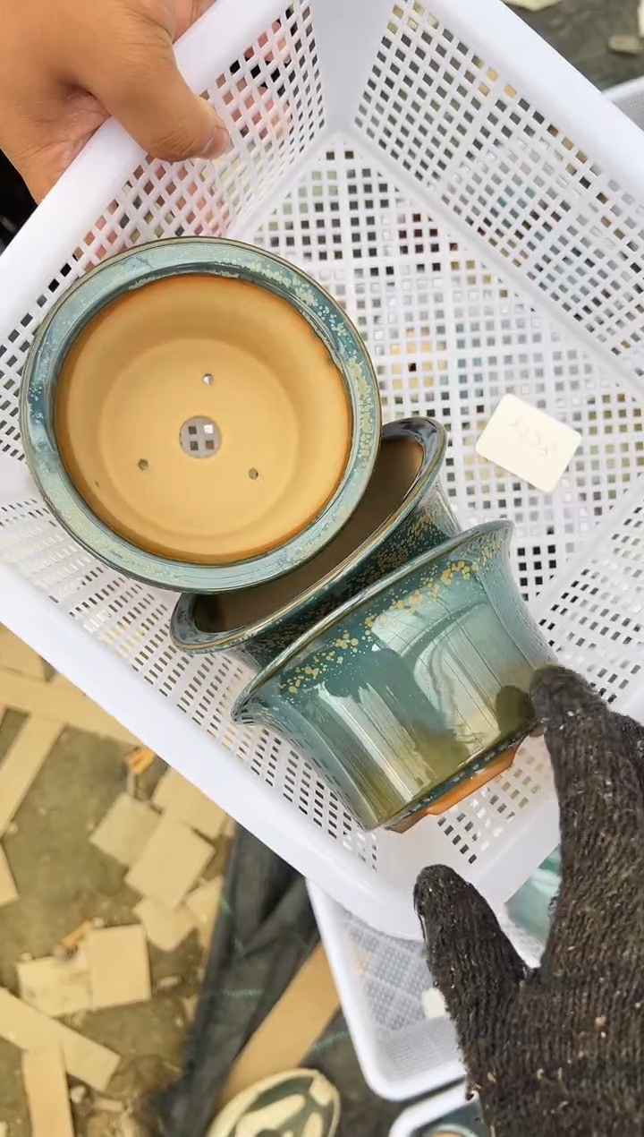 天**乐54号3个微瑕